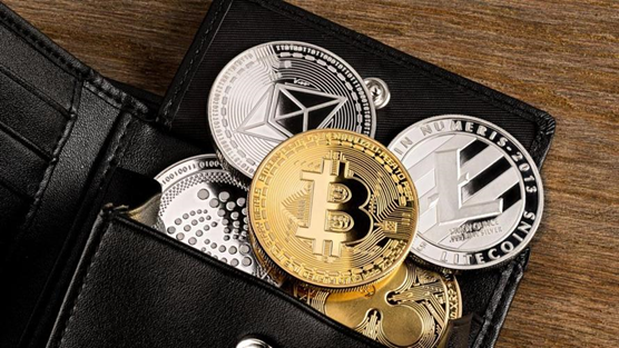快速教会小白payc钱包使用流程的步骤缩略图